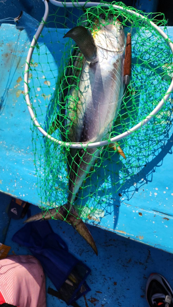 Offshore Fishing Adventure