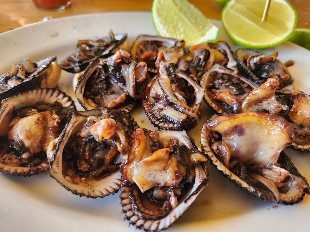 Sabores de El Salvador