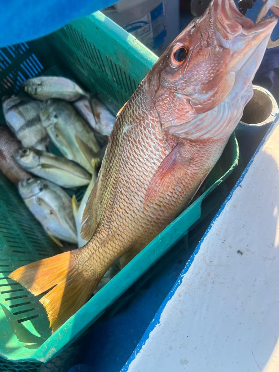 Jiquilisco Bay Fishing Adventure