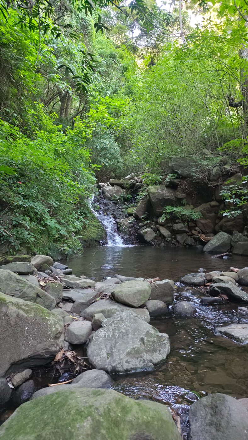 Finca Matalapa Waterfalls
