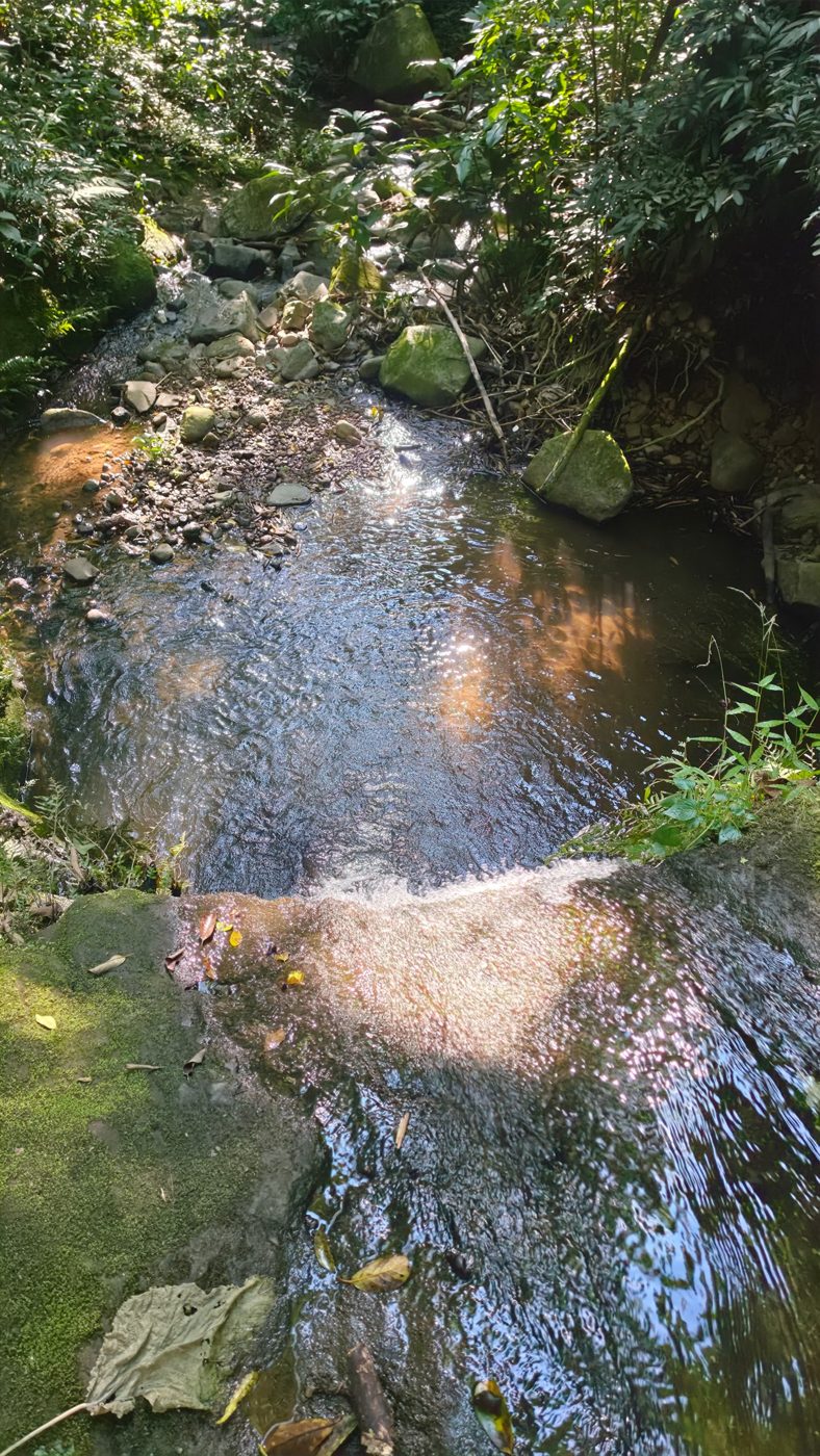 Finca Matalapa Waterfalls