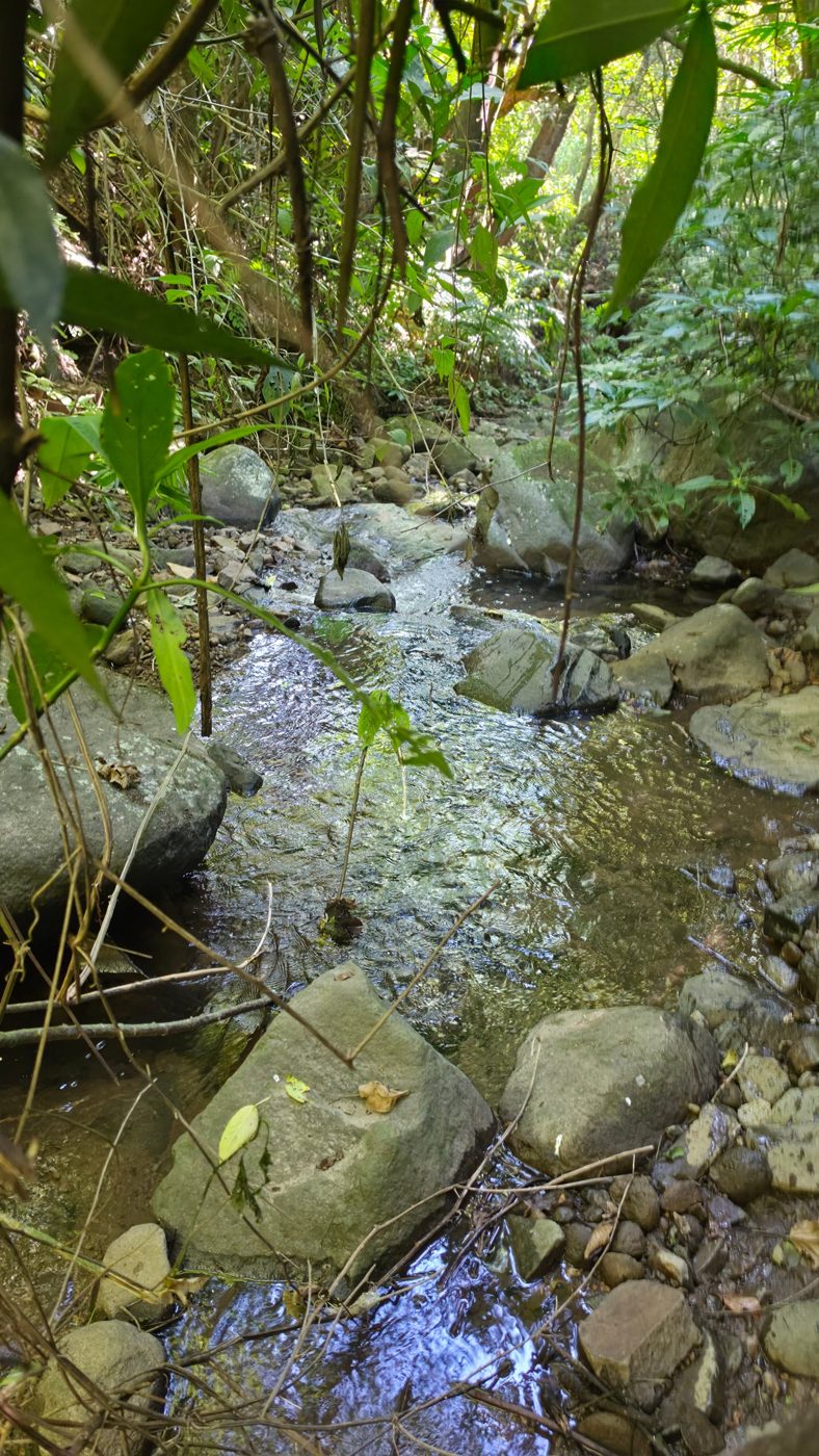 Finca Matalapa Waterfalls