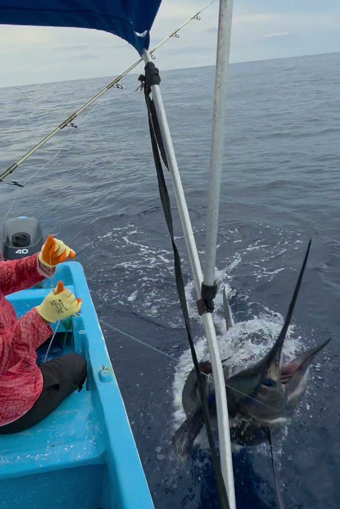 Offshore Fishing Adventure